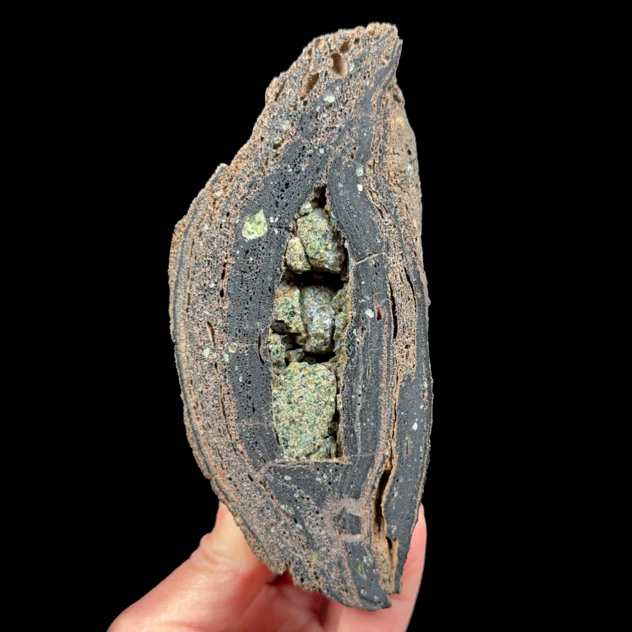 Olivine crystals inside a volcanic bomb rock specimen