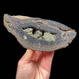 Interior of volcanic bomb with Olivine (Peridot) crystals inside from Spain