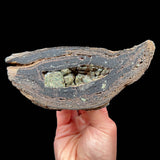 Olivine crystals inside a volcanic bomb from Spain
