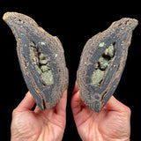 Volcanic Bomb Pair from Llémena Valley, Girona Province, Catalonia, Spain