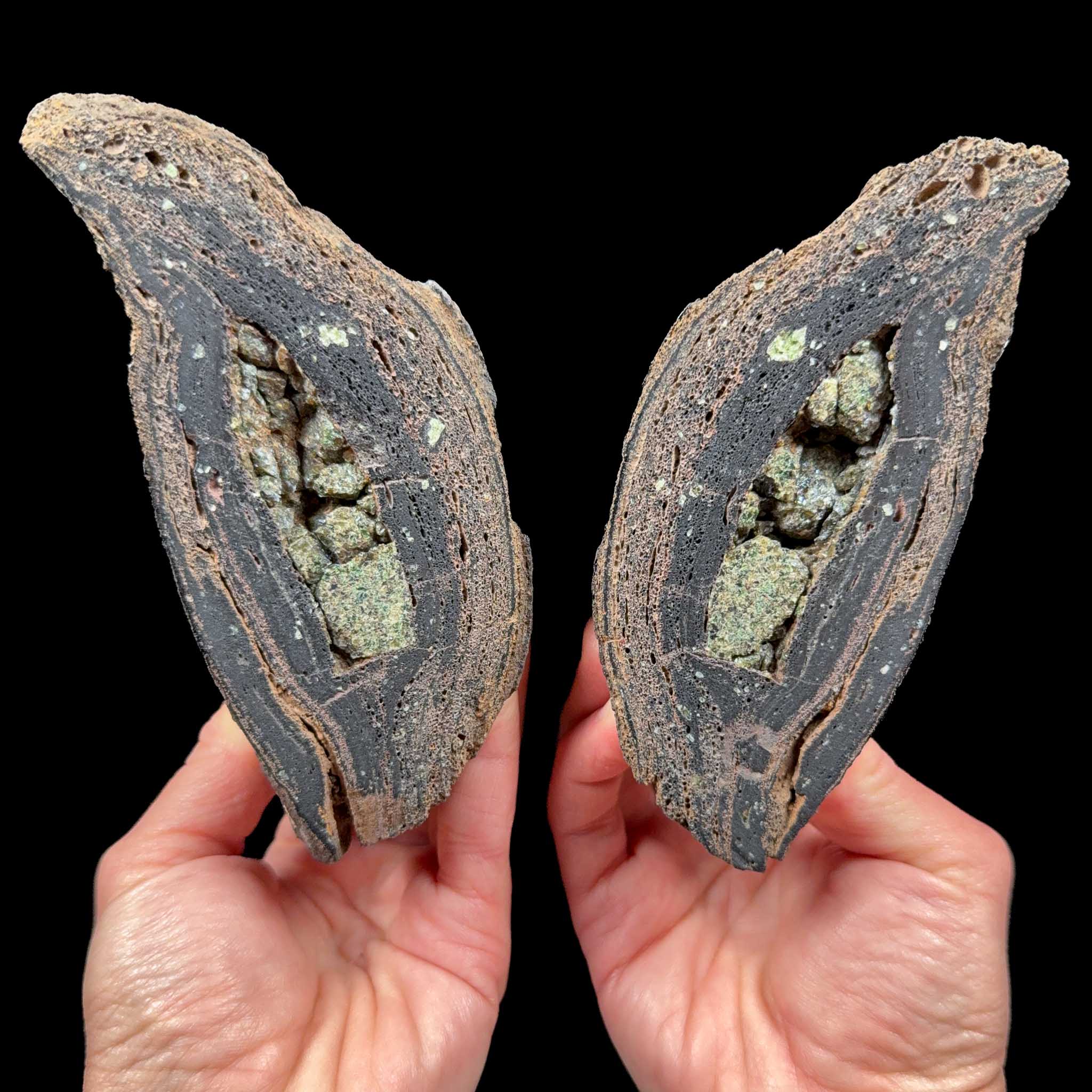 Volcanic Bomb Pair from Llémena Valley, Girona Province, Catalonia, Spain