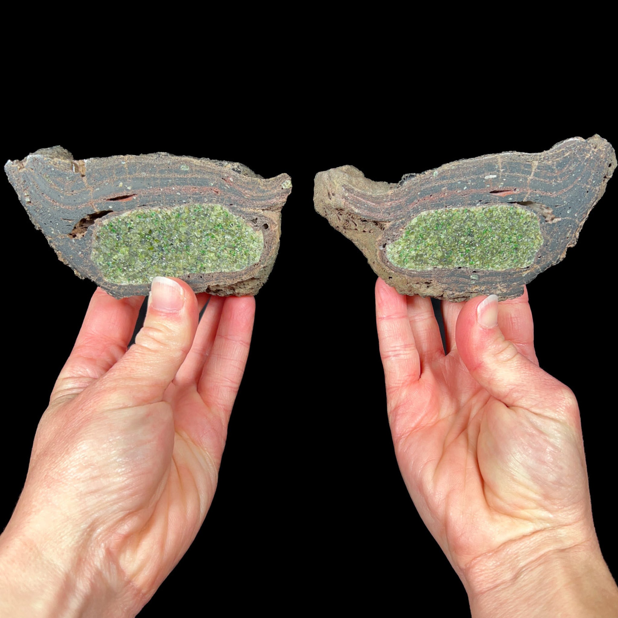 Olivine crystals inside a Volcanic Bomb