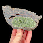 Peridot (Olivine) crystals inside a Volcanic Bomb