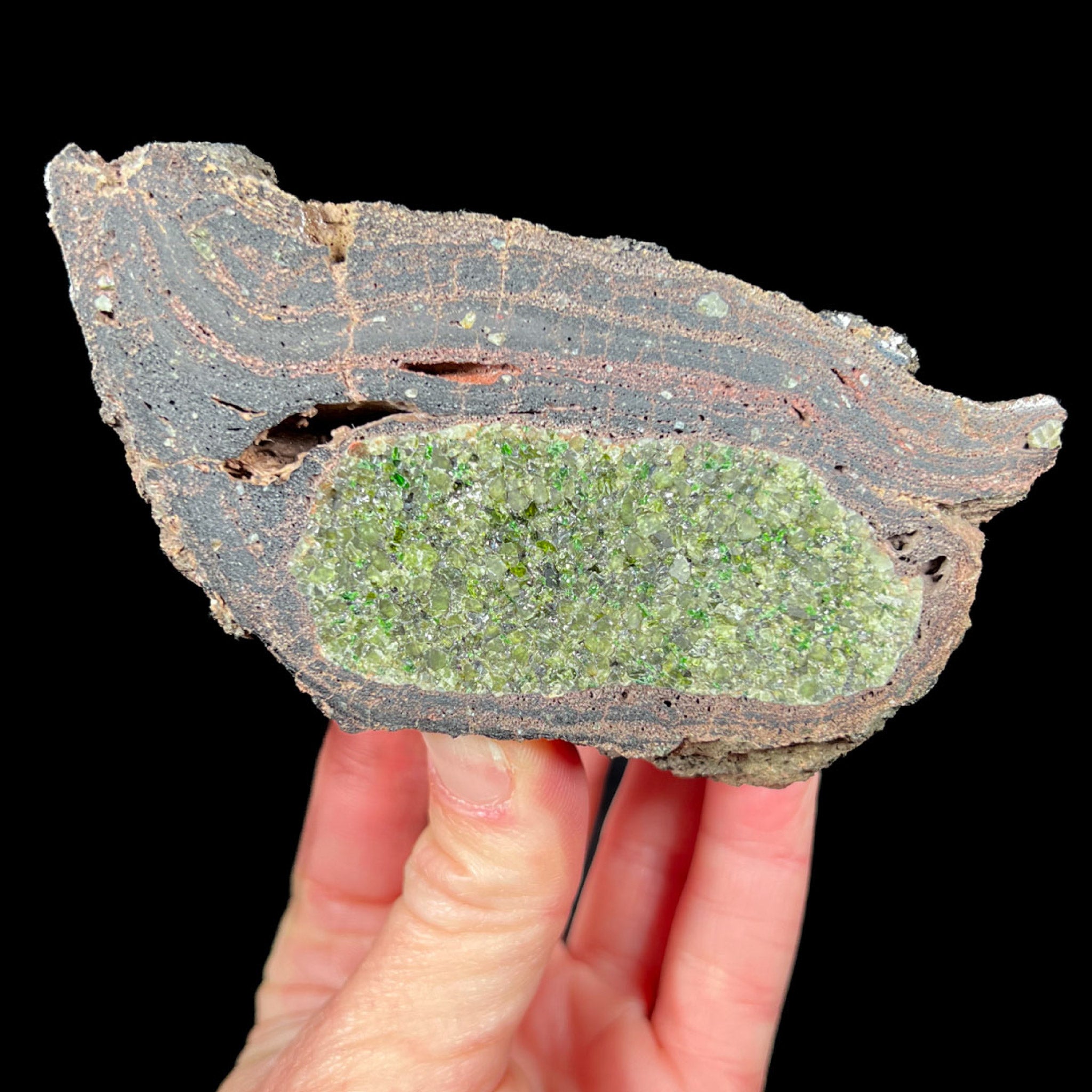 Peridot (Olivine) crystals inside a Volcanic Bomb