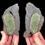 Interior of Volcanic Bomb with Peridot Crystals