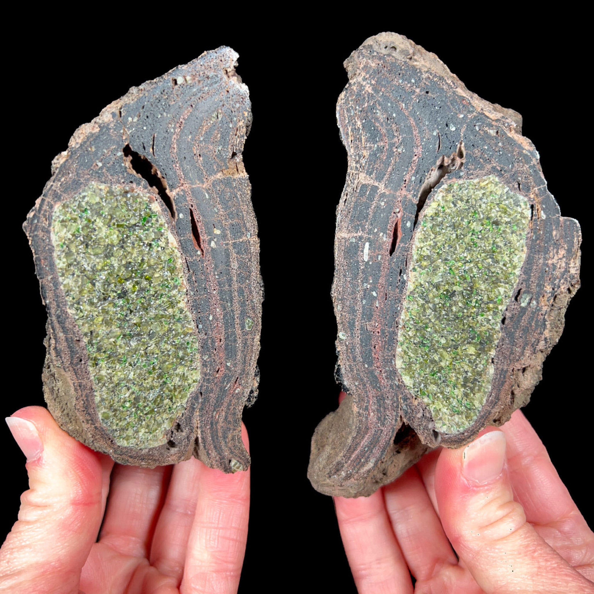 Interior of Volcanic Bomb with Peridot Crystals
