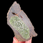 Interior of a Volcanic Bomb with Olivine Crystals