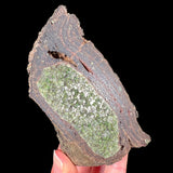 Interior of a Volcanic Bomb with Olivine Crystals