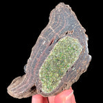 Inside a Volcanic Bomb containing Olivine Crystals