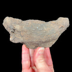Exterior of Volcanic Bomb