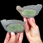 Large Volcanic Bomb with Peridot (Olivine) crystals inside from Spain