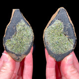 Olivine Volcanic Bomb