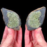 Volcanic Bomb with Peridot Crystals Inside