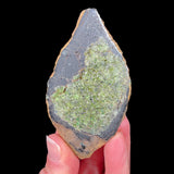 Olivine Crystals Inside Volcanic Bomb