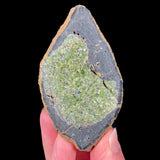 Peridot Crystals Inside Volcanic Bomb