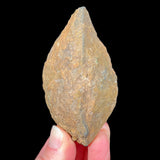 Exterior of Volcanic Bomb