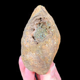 Exterior of Volcanic Bomb showing Olivine Crystals 