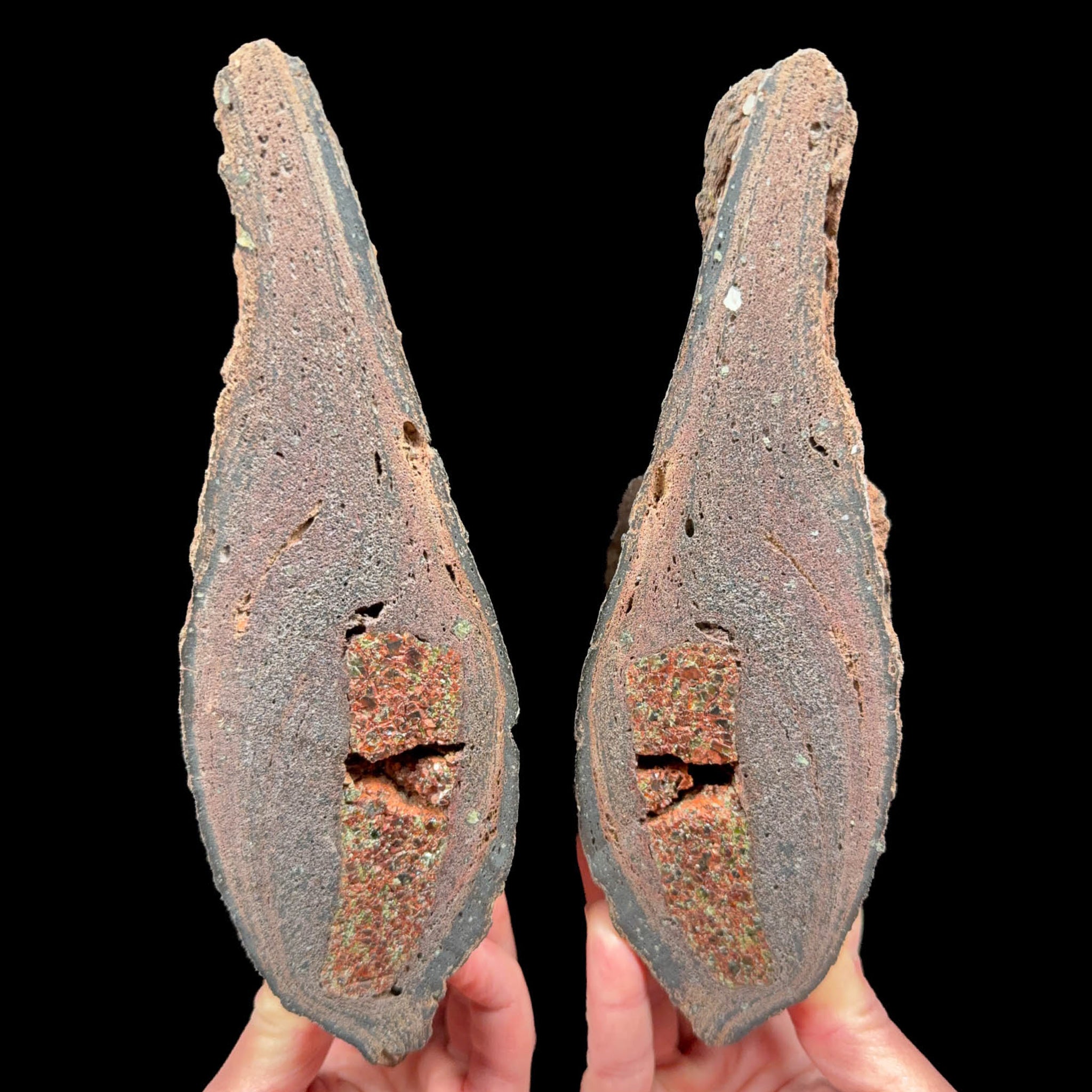 Garnet and Olivine crystals inside a volcanic bomb pair from Spain