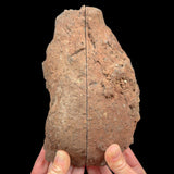 Exterior of volcanic bomb pair from Spain