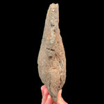 Exterior of volcanic bomb from Spain