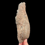 Volcanic Bomb exterior