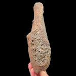 Exterior of volcanic bomb raw mineral specimen