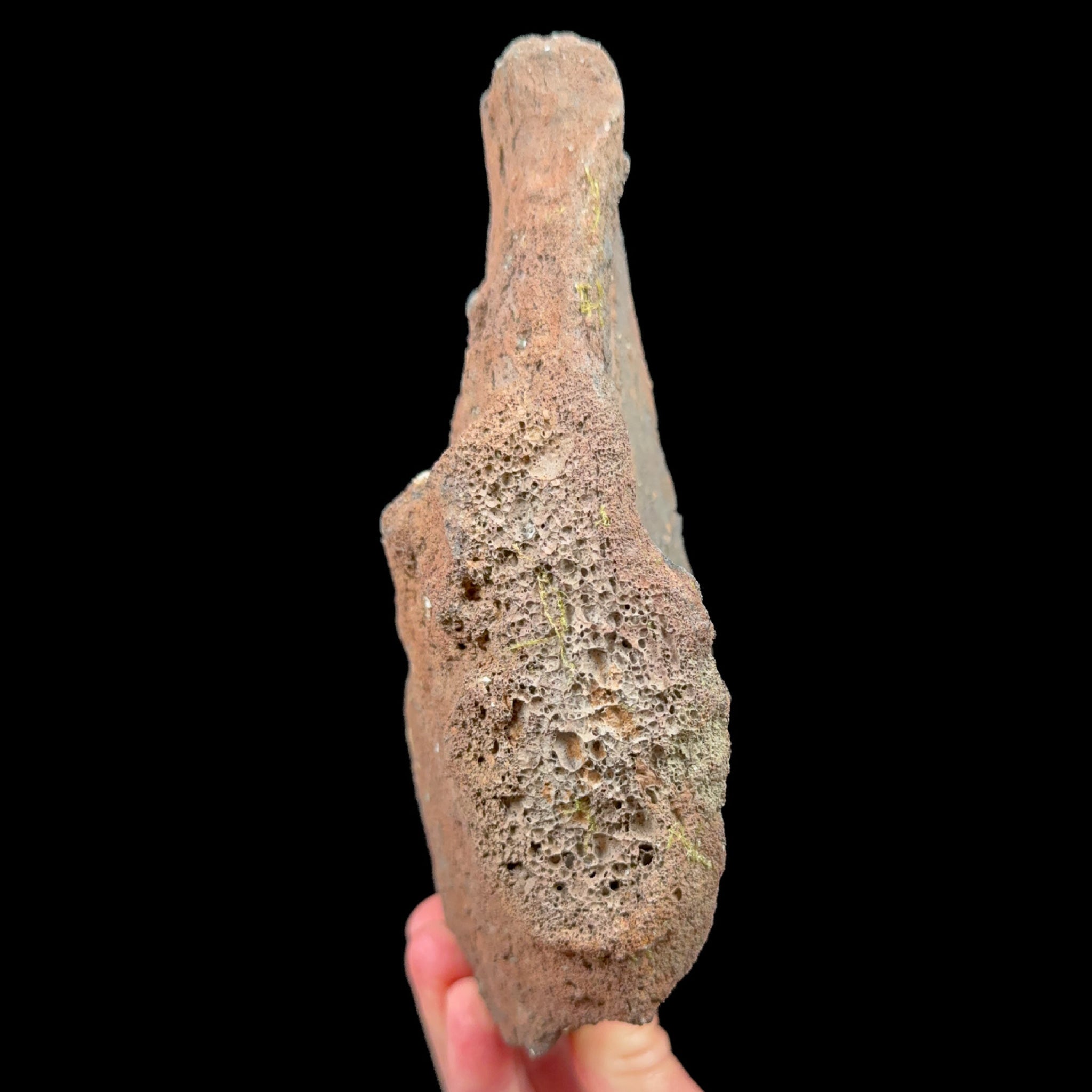Exterior of volcanic bomb raw mineral specimen