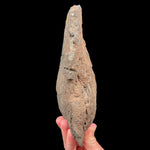 Exterior of volcanic bomb rock specimen
