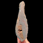Volcanic bomb mineral specimen from Llémena Valley, Girona Province, Catalonia, Spain