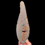 Interior of a volcanic bomb specimen