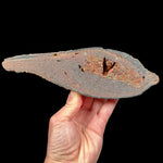 Inside a volcanic bomb specimen from Spain