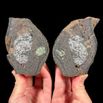 Volcanic Bomb pair from Spain