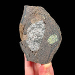 Olivine / Peridot crystals and Gabbro inside volcanic bomb
