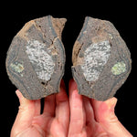 Volcanic Bomb Pair from Spain with Olivine and Gabbro inside