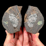 Volcanic Bomb Pair from Spain with Olivine and Gabbro inside