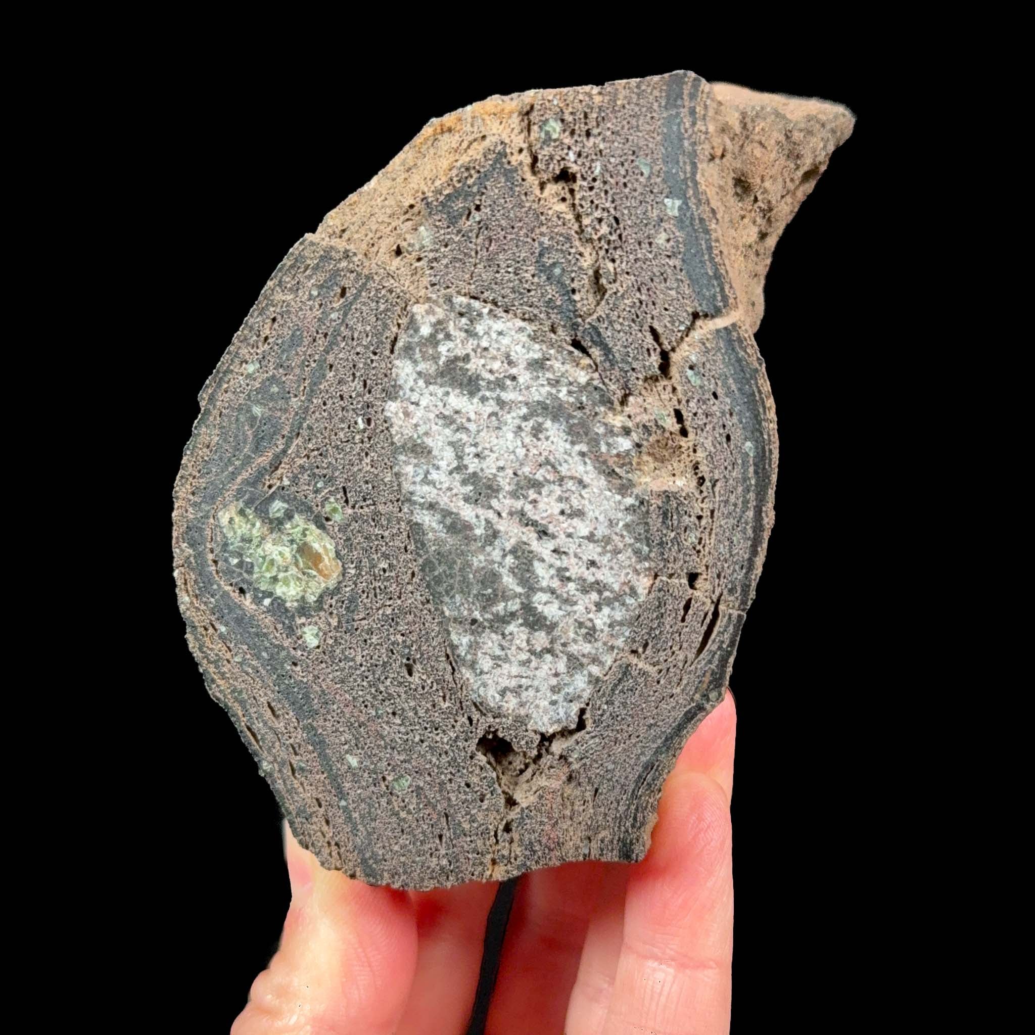 Olivine and Gabbro inside a volcanic bomb
