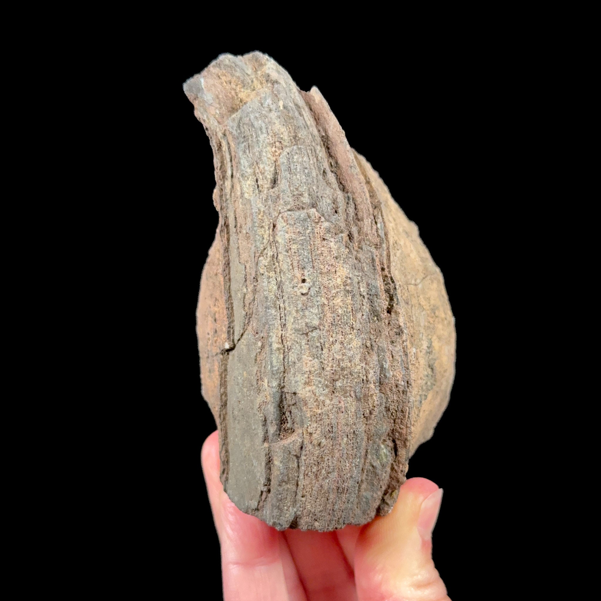 Exterior of volcanic bomb