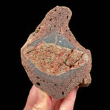Inside of volcanic bomb specimen with garnet and olivine crystals inside