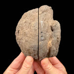 Exterior of volcanic bomb pair from Spain