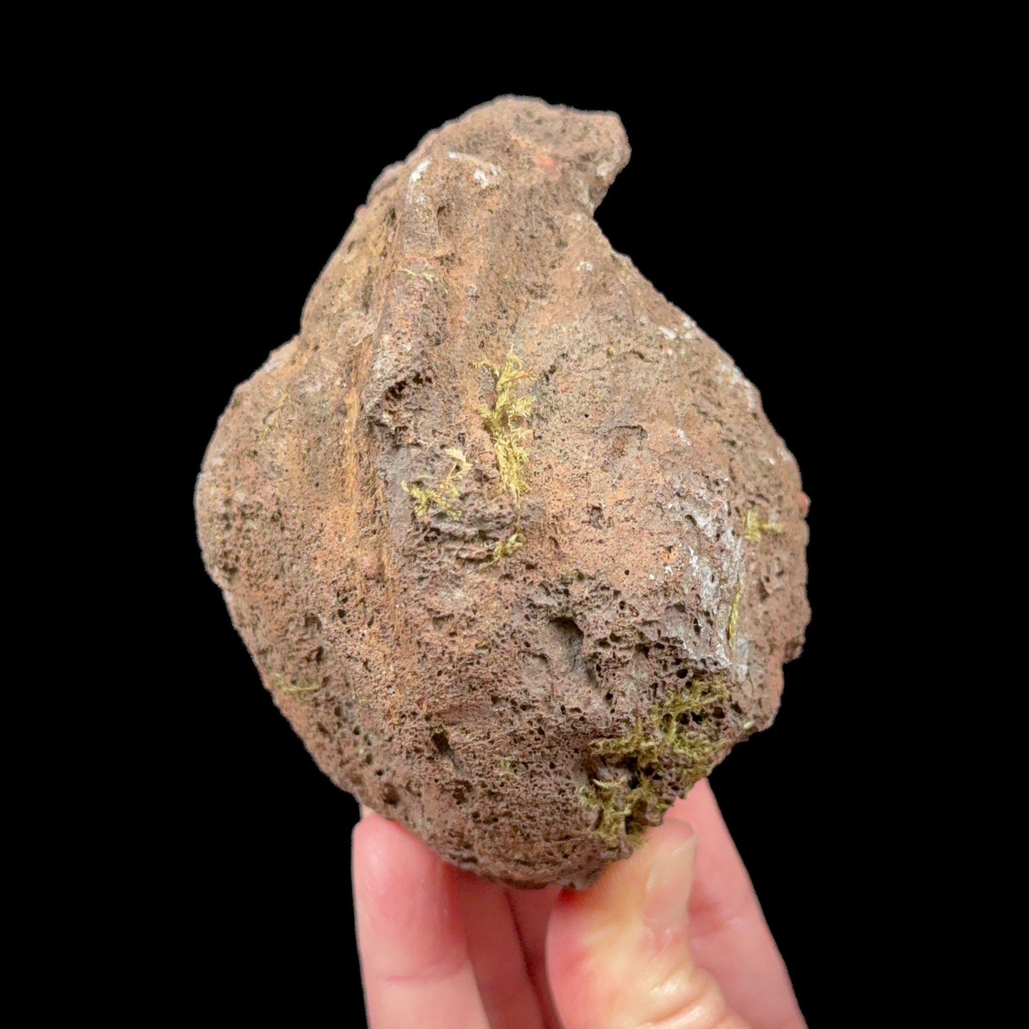 Exterior of volcanic bomb specimen from Spain
