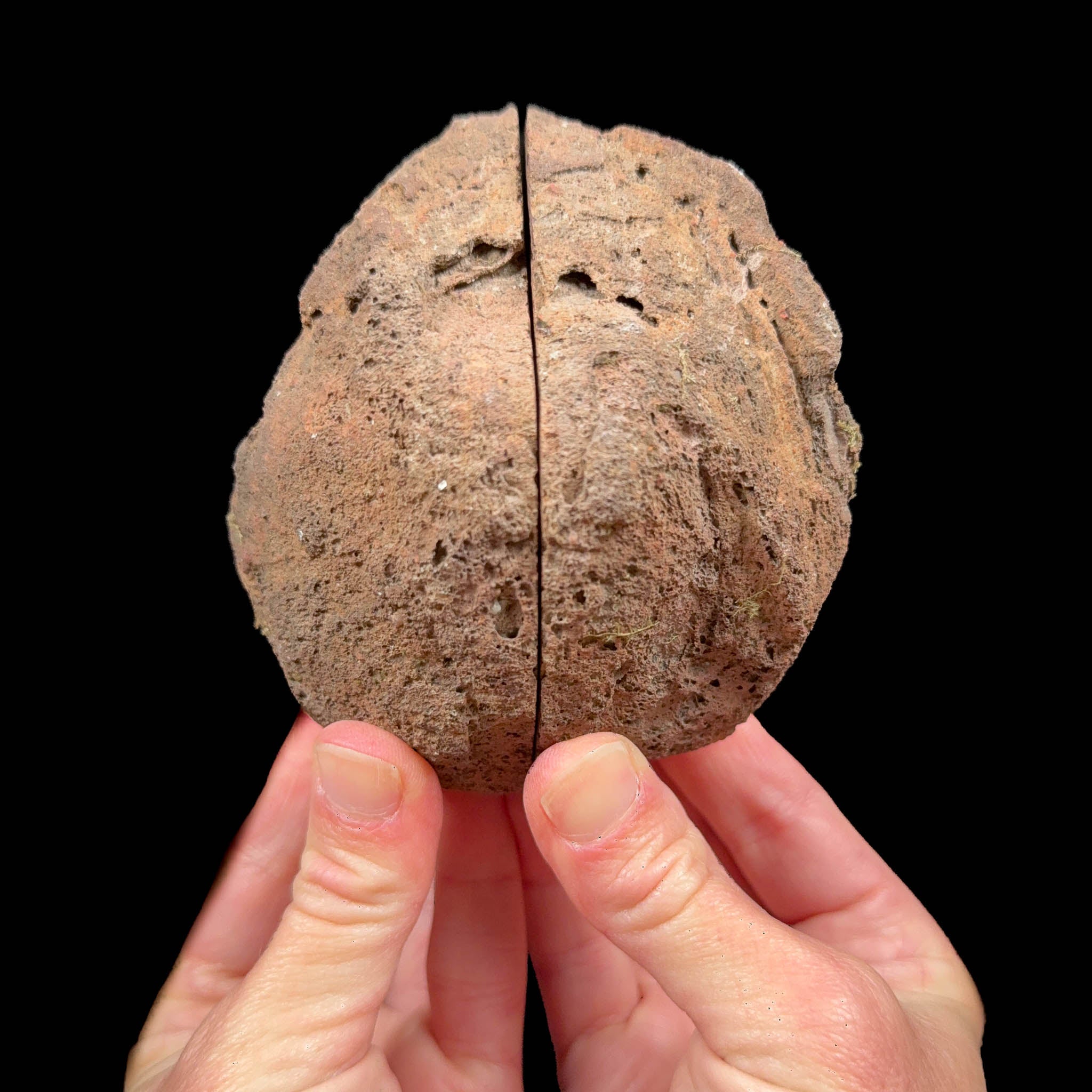 Exterior of volcanic bomb pair