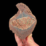 Inside a volcanic bomb stone specimen
