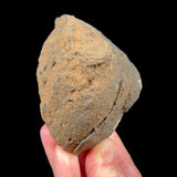 Exterior of volcanic bomb