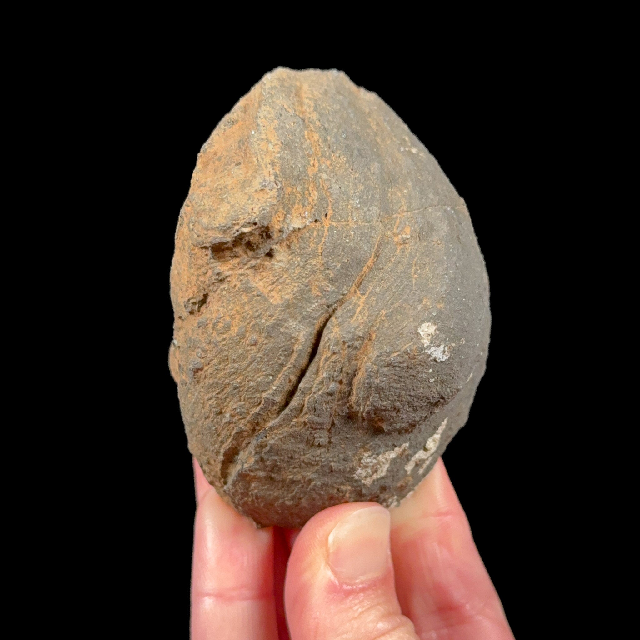 Exterior of volcanic bomb