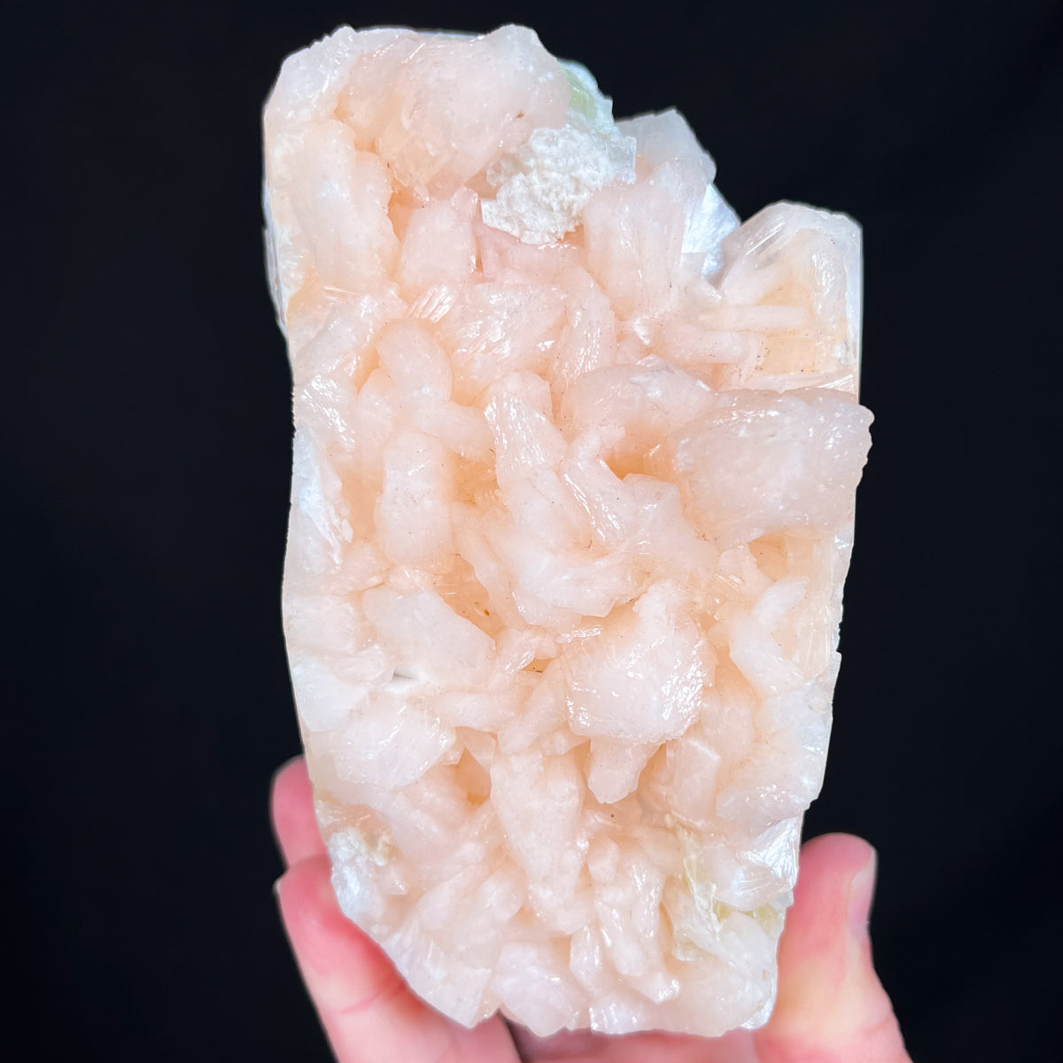 Stilbite with Apophyllite