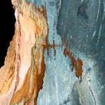 Close up of Gary Green Petrified Wood