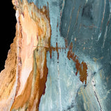 Close up of Gary Green Petrified Wood