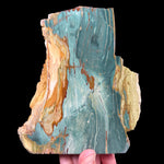 Petrified Bogwood Gary Green Wood from Oregon, USA