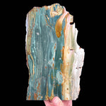 Teal green Petrified Wood - Bogwood / Gary Green Wood from Oregon, USA