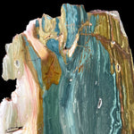 Close up of teal blue green Petrified Wood from Oregon
